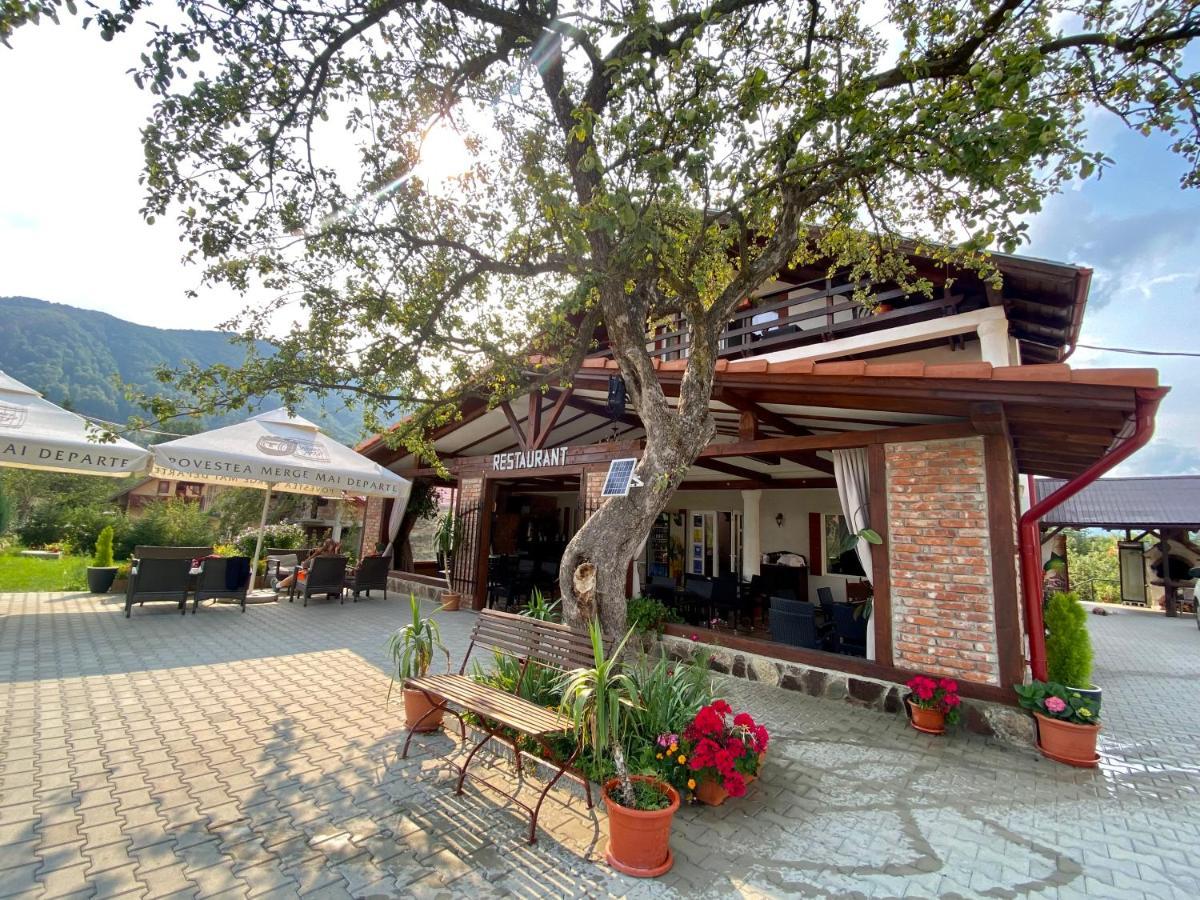 Hotel Casa Centiu à Bran  Extérieur photo