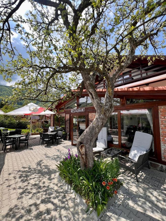 Hotel Casa Centiu à Bran  Extérieur photo